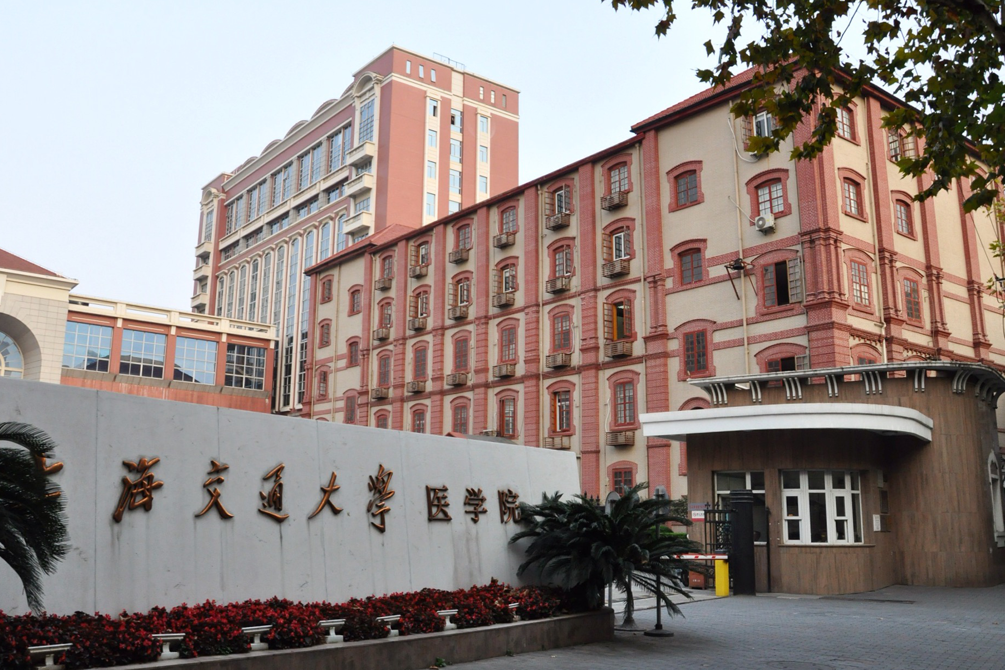 Shanghai Jiao Tong University School of Medicine